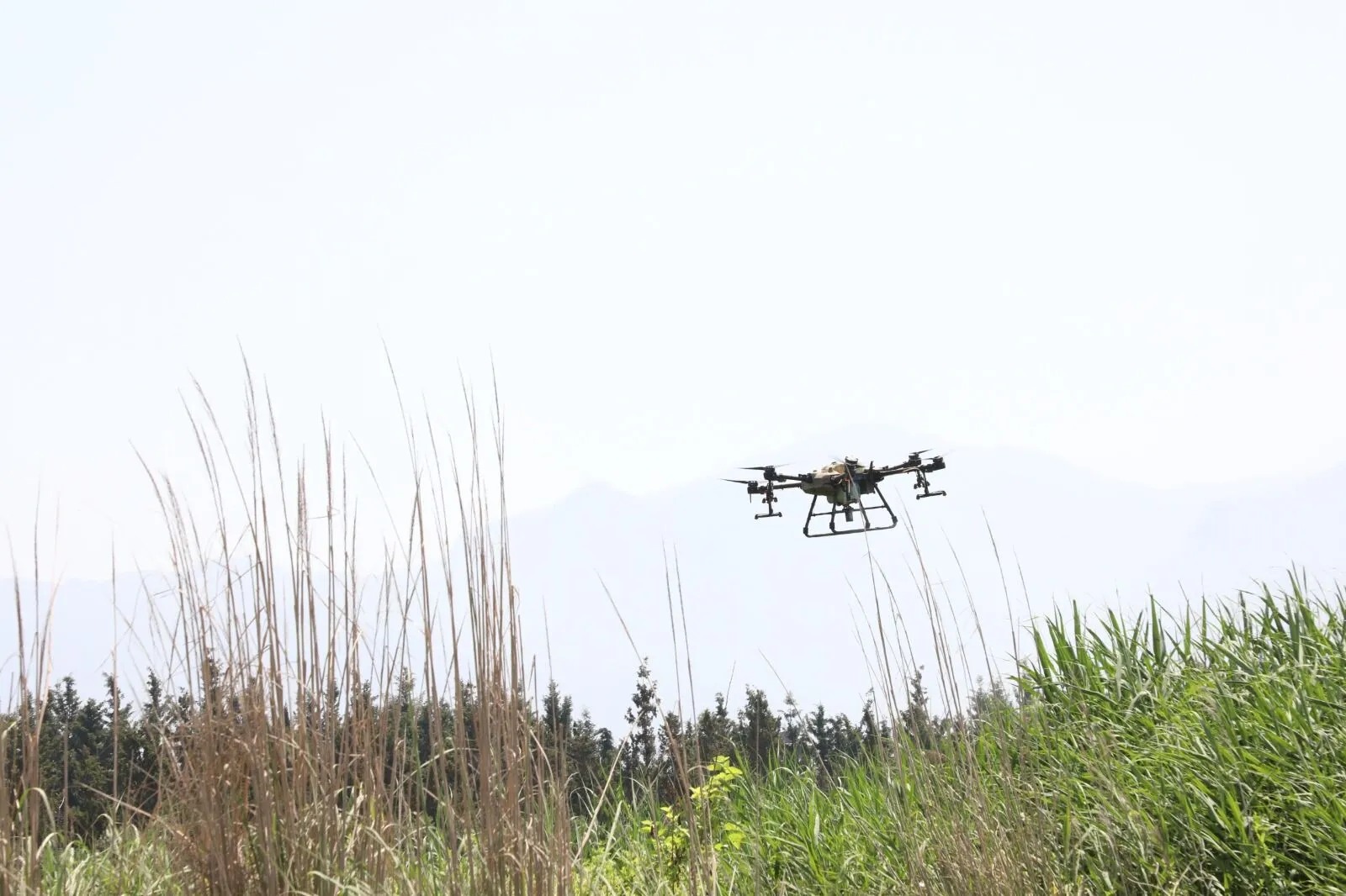 Yeni yöntem: Drone ile ilaçlama