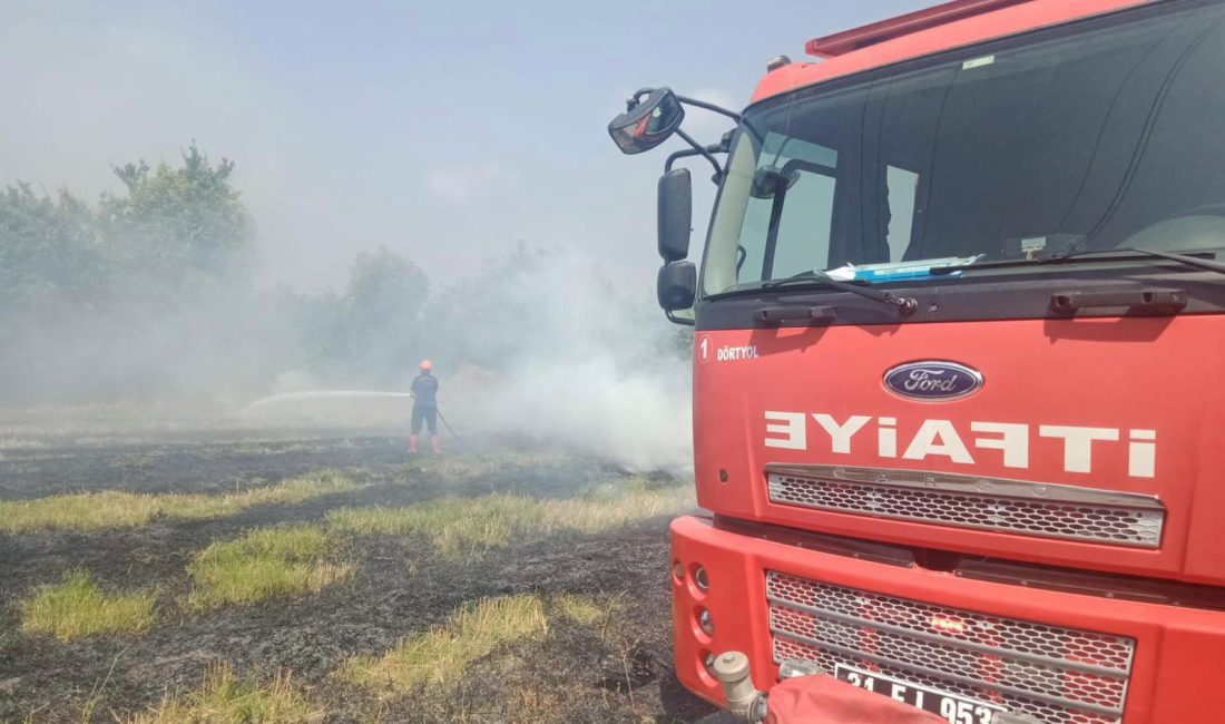 Hatay Büyükşehir Belediyesi Afet