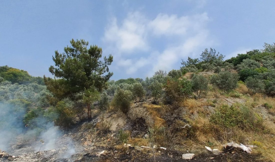 Hatay’ın Dörtyol ilçesinde Kuzuculu