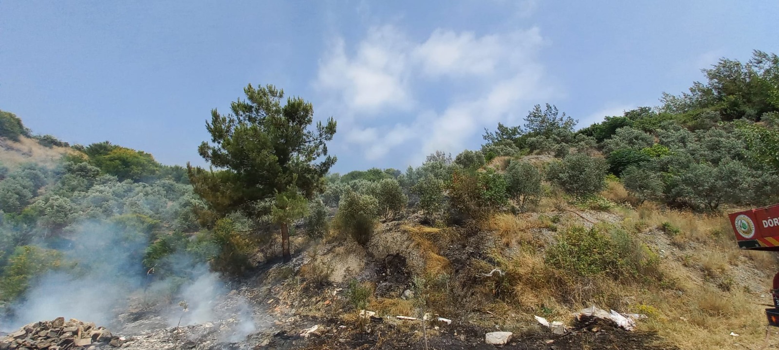 Ağaçlık Alandaki Yangın Söndürüldü