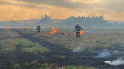 Hatay’ın Erzin ilçesinde sazlık alanda çıkan yangın, itfaiye ekiplerince söndürüldü.
