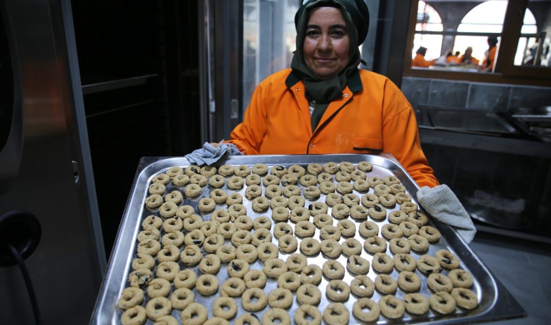 Hatay Altınözü Zeytin Emeği