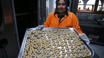 Hatay Altınözü Zeytin Emeği Kadın Kooperatifi bünyesinde kadınlar, kekik türü