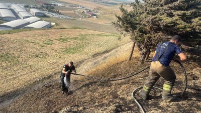 Hatay’ın Antakya, Kumlu ve Defne ilçelerinde çıkan yangınlar, hızla müdahale