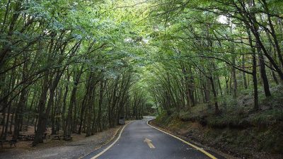 Türkiye genelinde meteorolojik şartlar bakımından yangın riski taşıyan 27 ildeki
