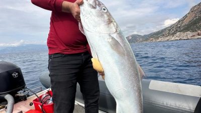 Hatay’da yaşayan balıkçı Adem Erkol’un 25 kilogramlık akya balığını yarım
