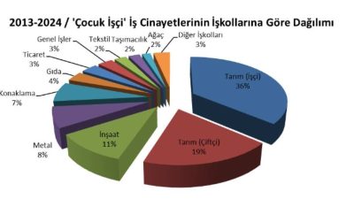İşçi Sağlığı ve İş Güvenliği Meclisi (İSİG), çalıştırılan çocuklara dair