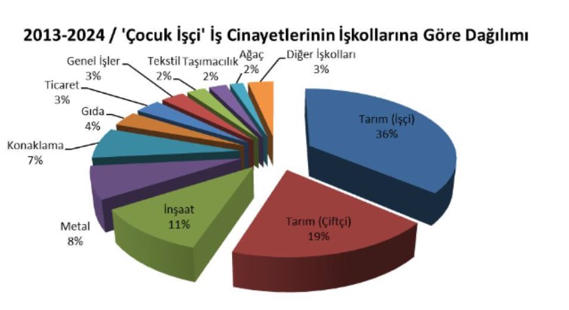 11 Yılda 695 Çocuk İşçi Hayatını Kaybetti