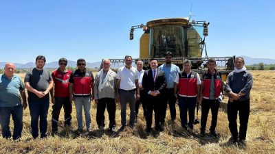 Kış aylarının yağışlı geçtiği Hatay’ın Hassa ilçesinde dekar başına hasat