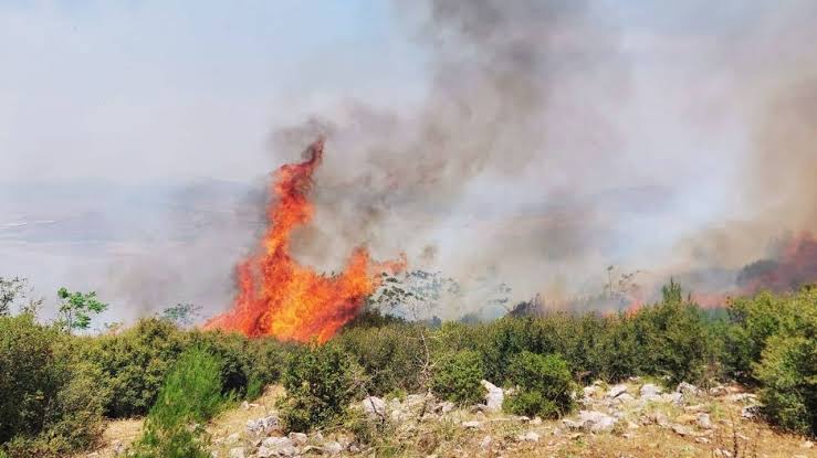 Bayramın orman yangını bilançosu açıklandı