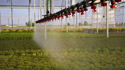 Tarım ve Orman Bakanı İbrahim Yumaklı, su kullanımında tasarruf ve