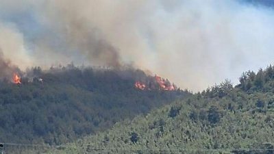   Arsuz ilçesinde bugün öğle saatlerinde baş gösteren Orman ve
