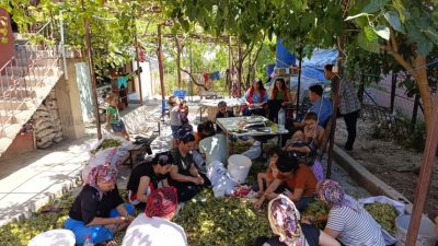 Hatay aile ve sosyal hizmetler il müdürlüğü yeni bir uygulama