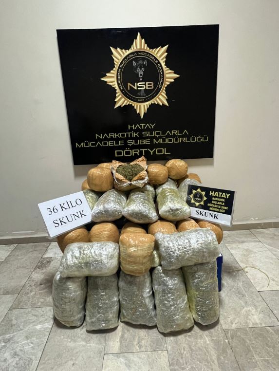 36 Kilo Skunk Ele Geçirildi