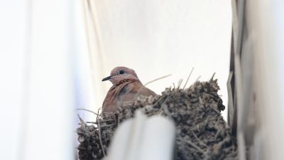 Depremin vurduğu Hatay’da yuva yapabilmek için tek katlı ofisin klima