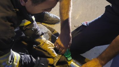 Hatay’ın Antakya ilçesine bağlı Saraykent Mahallesi’nde, bir kedinin yiyecek ararken