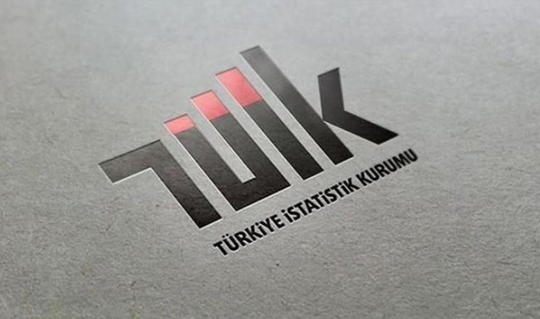 Türkiye İstatistik Kurumu (TÜİK)