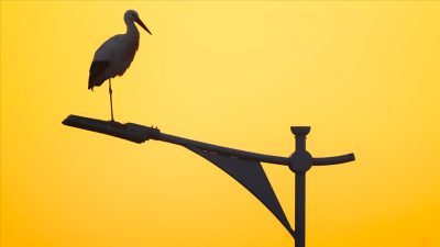 Tabii Kaynaklar ve Enerji Bakanlığı, bu yıl başında başlattığı Enerji