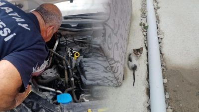 Hatay’ın Arsuz ilçesi Gözcüler Mahallesi’nde ilginç bir olay yaşandı. Bir