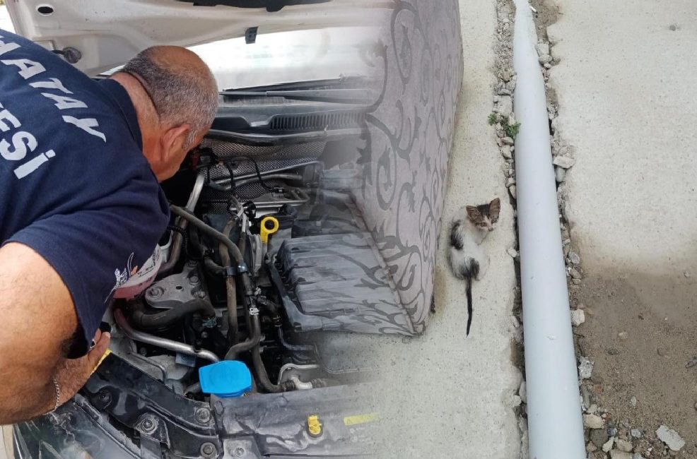 Hatay’ın Arsuz ilçesi Gözcüler