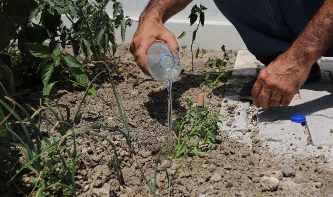 Hatay Büyükşehir Belediyesi öncülüğünde