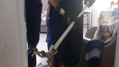 Hatay’ın Dörtyol ilçesinde, bir evin zemin katındaki balkonuna giren yılan,