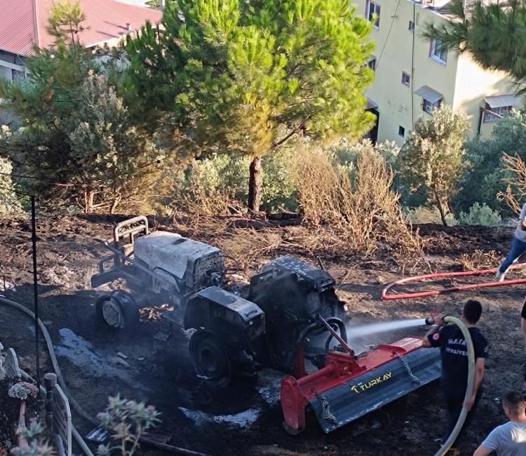 Hatay’ın Defne ilçesinde otluk