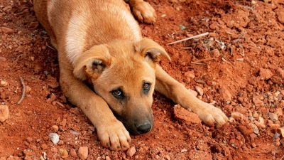 DEVA Partisi Ankara Milletvekili İdris Şahin, Meclis’te düzenlediği basın toplantısında,