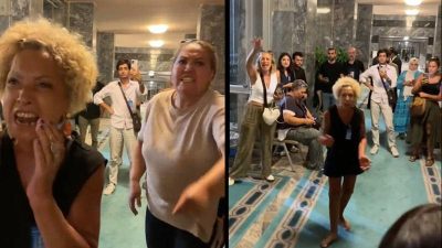 Türkiye Büyük Millet Meclisi (TBMM), sokak hayvanlarına ilişkin kanun teklifinin