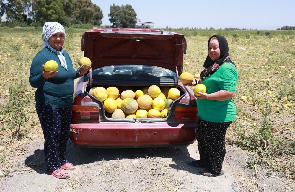 Hatay’ın Antakya ilçesinde, 300