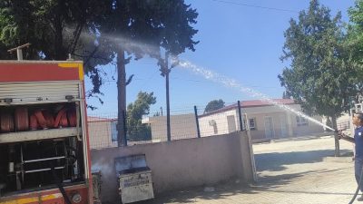 Hatay’ın Kumlu ilçesinde hafta sonu sürpriz bir olay yaşandı: bir