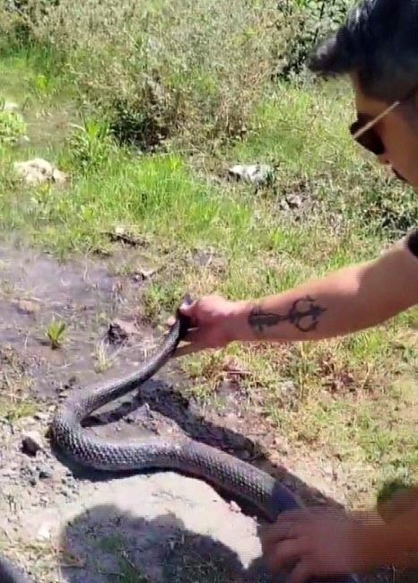 Hatay’da ‘Yılancı Kemal’ olarak