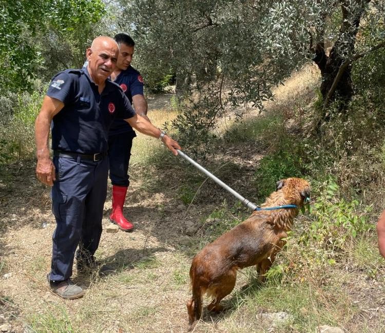 Hatay’ın Defne ilçesi Sinanlı