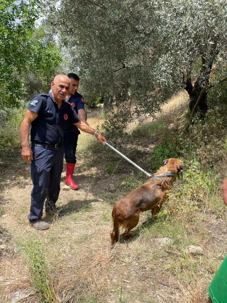 Mahsur kalan köpeğe itfaiye eli