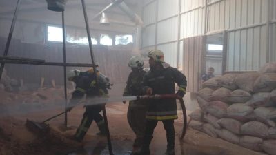 Hatay’ın Antakya ilçesine bağlı Narlıca Mahallesi’nde bulunan bir marangoz atölyesinde