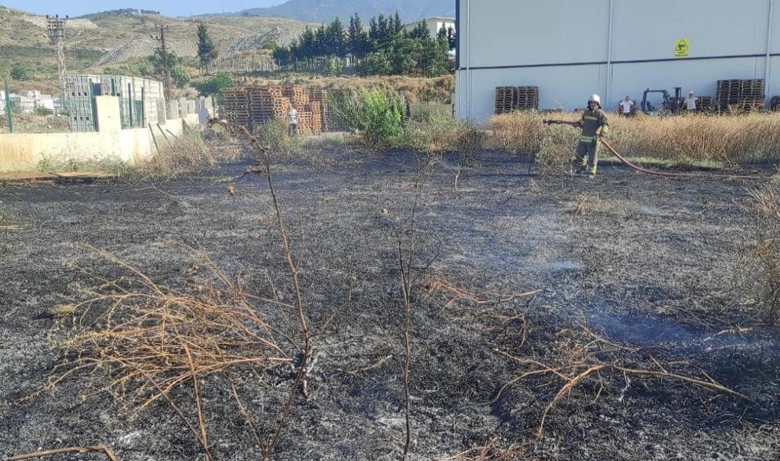 Hatay’ın Arsuz ilçesinde otluk