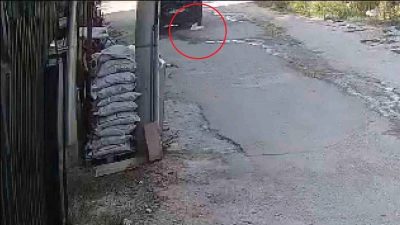 
Hatay'ın Antakya ilçesinde bir aracın su içen kediyi ezdiği anlar