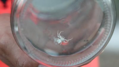 Hatay’da haşere ilaçlama uzmanı Mehmet Şirin, toplum içinde ‘insan yüzlü