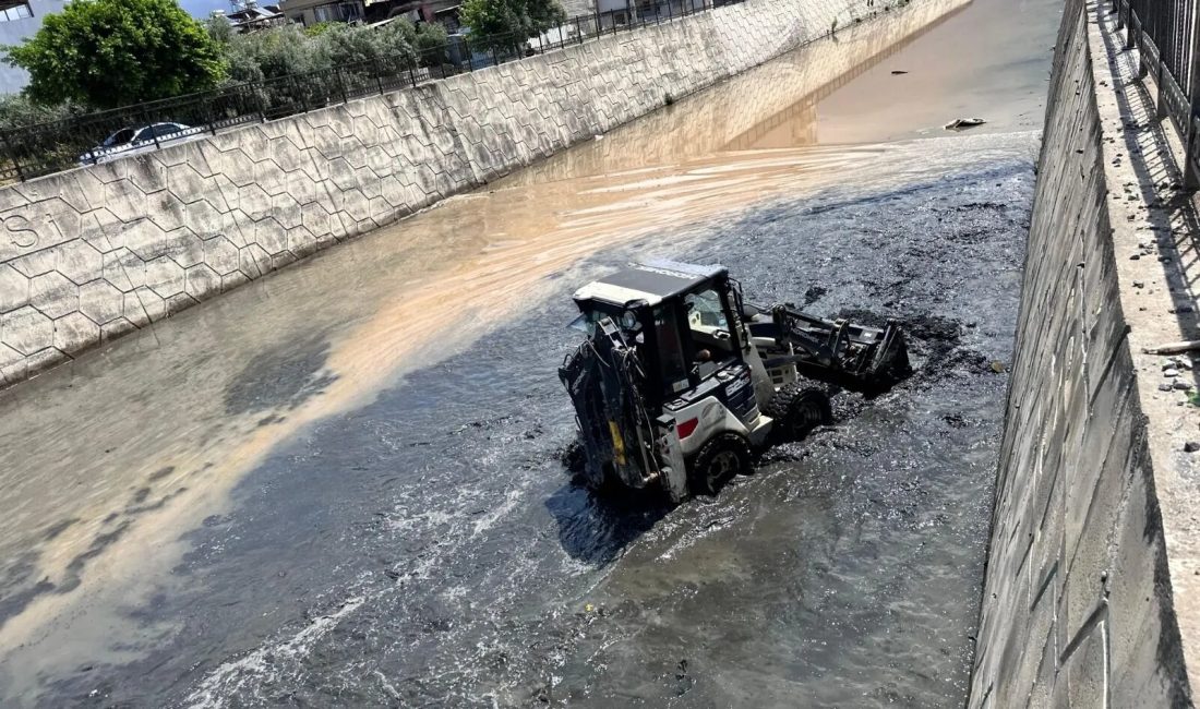 Hatay Büyükşehir Belediyesi, İskenderun