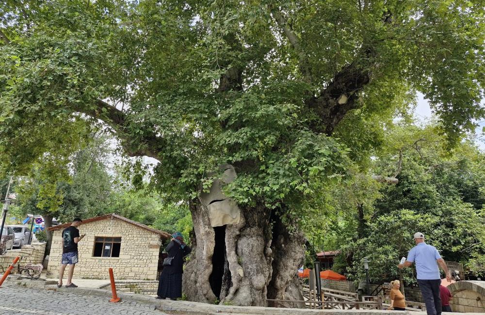 Hatay’da 7 buçuk metrelik