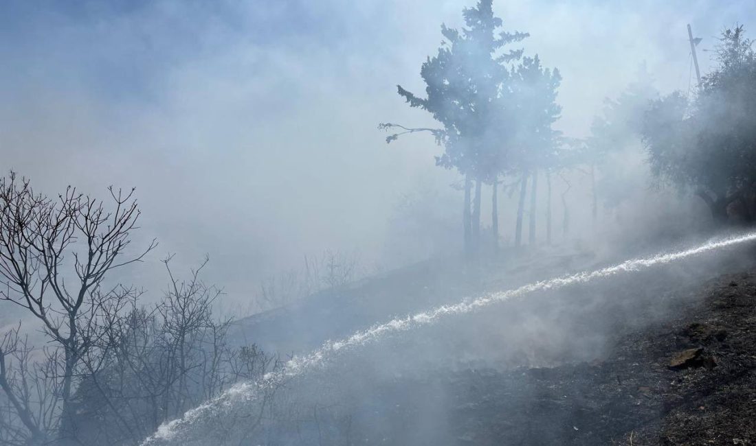 Hatay Büyükşehir Belediyesi anız