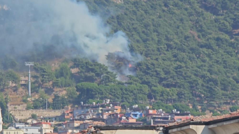 Habibi Neccar Dağı’ndaki yangın söndürüldü