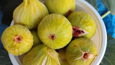 Hatay’ın zengin mutfak kültürü özlenen tada kavuştu. Akdeniz ikliminin en