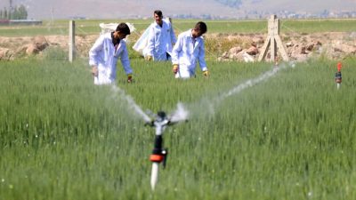 Millî Eğitim Bakanlığı, Türkiye’nin tarım sektöründe nitelikli iş gücünü artırmak
