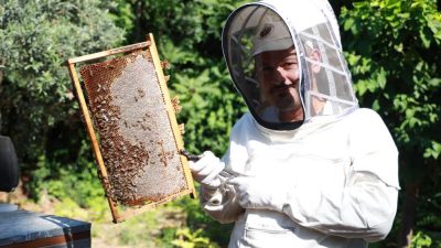 Hatay’da kış mevsiminin yağışlı geçmesi ve baharın erken gelmesiyle birlikte