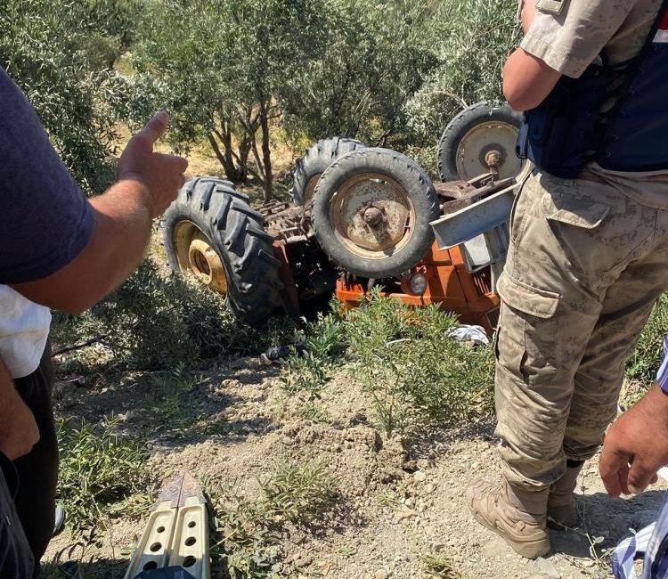 Hatay’da zeytin bahçesine uçarak