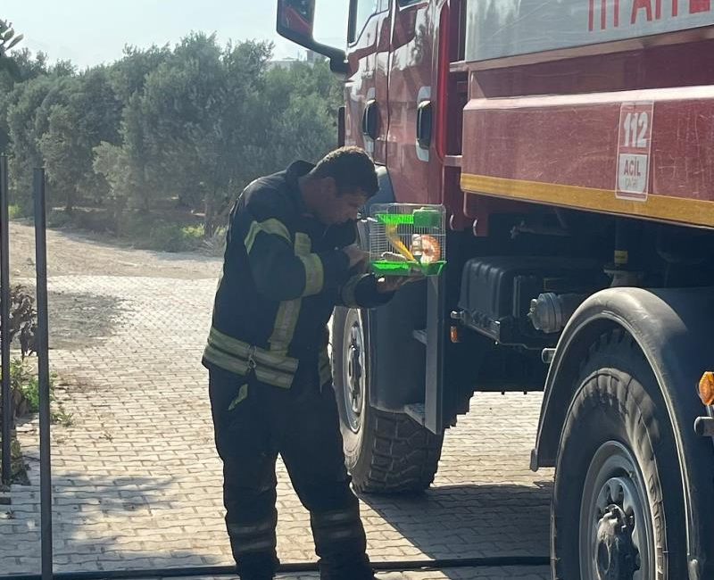 Hatay’ın Antakya İlçesi Küçükdalyan