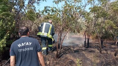 Hatay’ın Defne ilçesi Çekmece Mahallesi’nde bir müstakil evin bahçesinde çıkan
