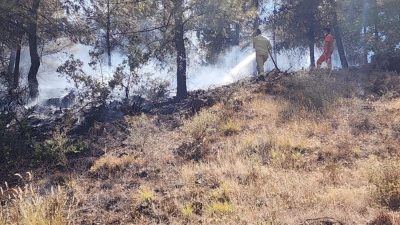 Hatay’ın Hassa ilçesinde, sondaj aracında başlayan yangın kısa sürede ormana