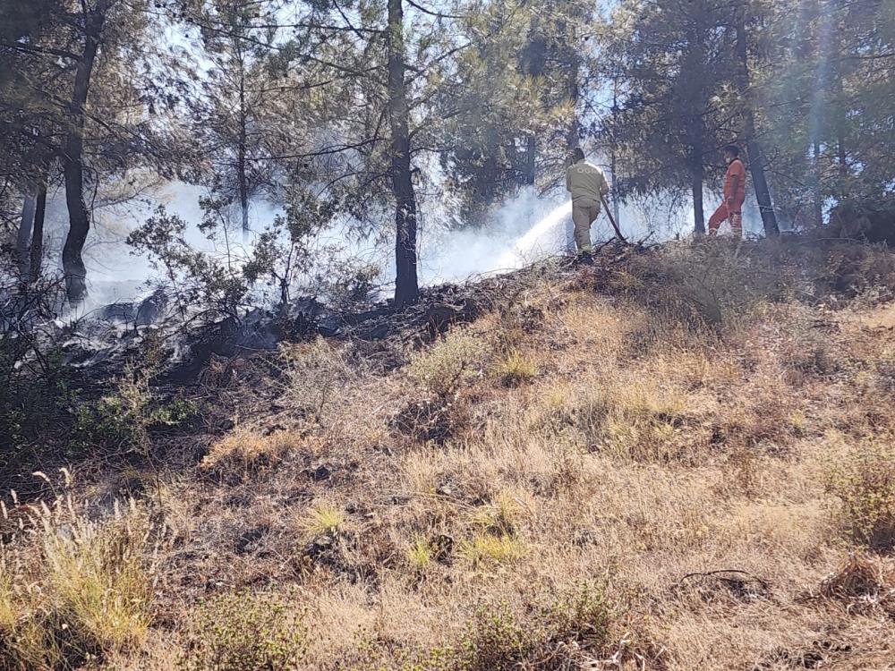 Sondaj yangını ormanı sardı